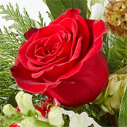 Deck the Halls Bouquet –  Fleuriste Thalia, Varennes PQ