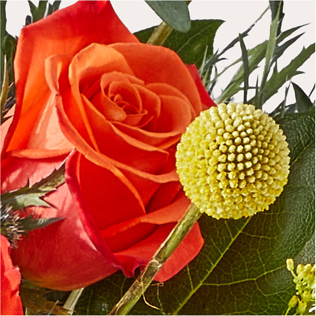 Disco Bouquet –  Fleuriste Thalia, Varennes PQ