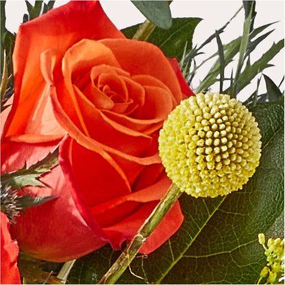 Disco Bouquet –  Fleuriste Thalia, Varennes PQ