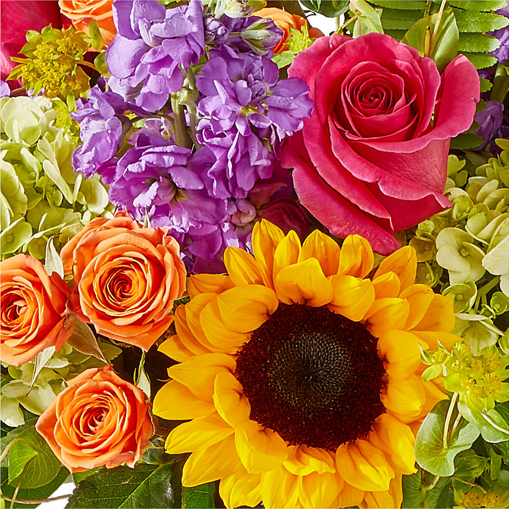Vibrant Greetings Bouquet –  Fleuriste Thalia, Varennes PQ