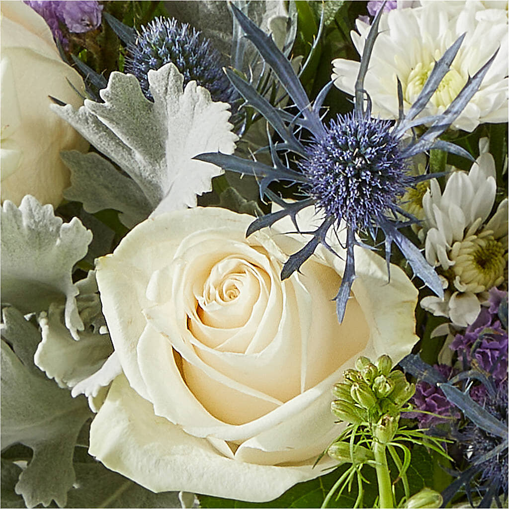 Shooting Star Bouquet –  Fleuriste Thalia, Varennes PQ