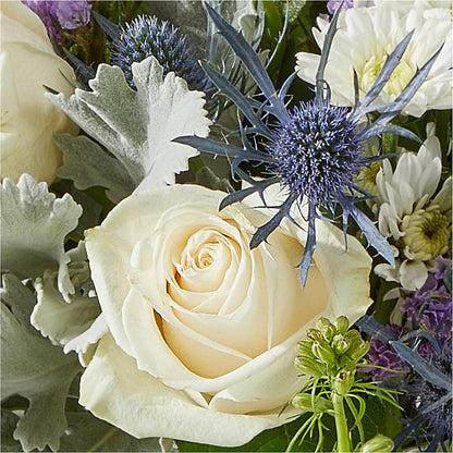 Shooting Star Bouquet –  Fleuriste Thalia, Varennes PQ