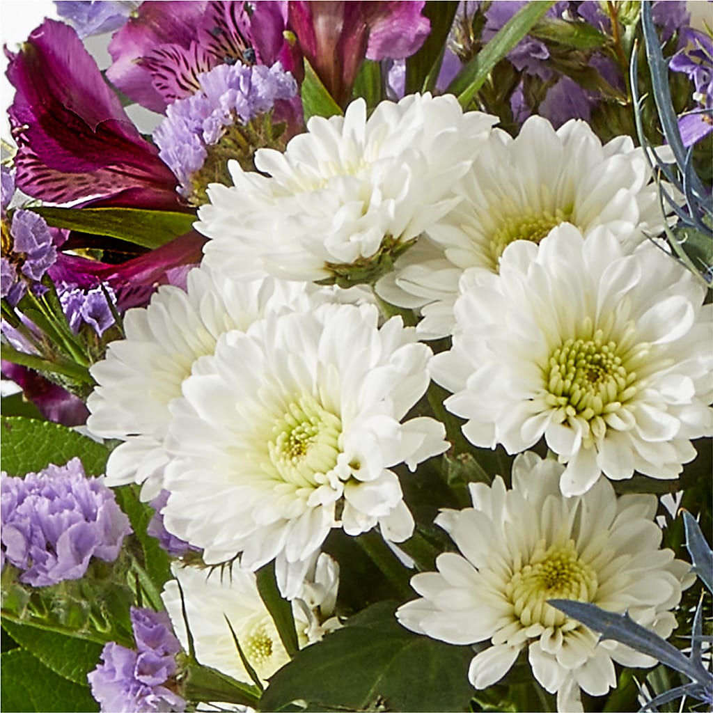 Shooting Star Bouquet –  Fleuriste Thalia, Varennes PQ