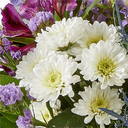 Shooting Star Bouquet –  Fleuriste Thalia, Varennes PQ