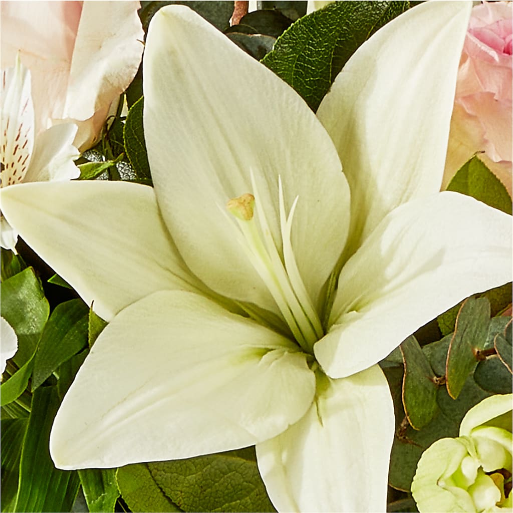 Ballet Slippers Bouquet –  Fleuriste Thalia, Varennes PQ