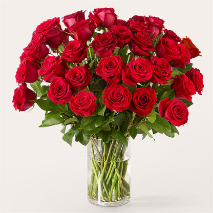 The One Red Rose Bouquet –  Fleuriste Thalia, Varennes PQ